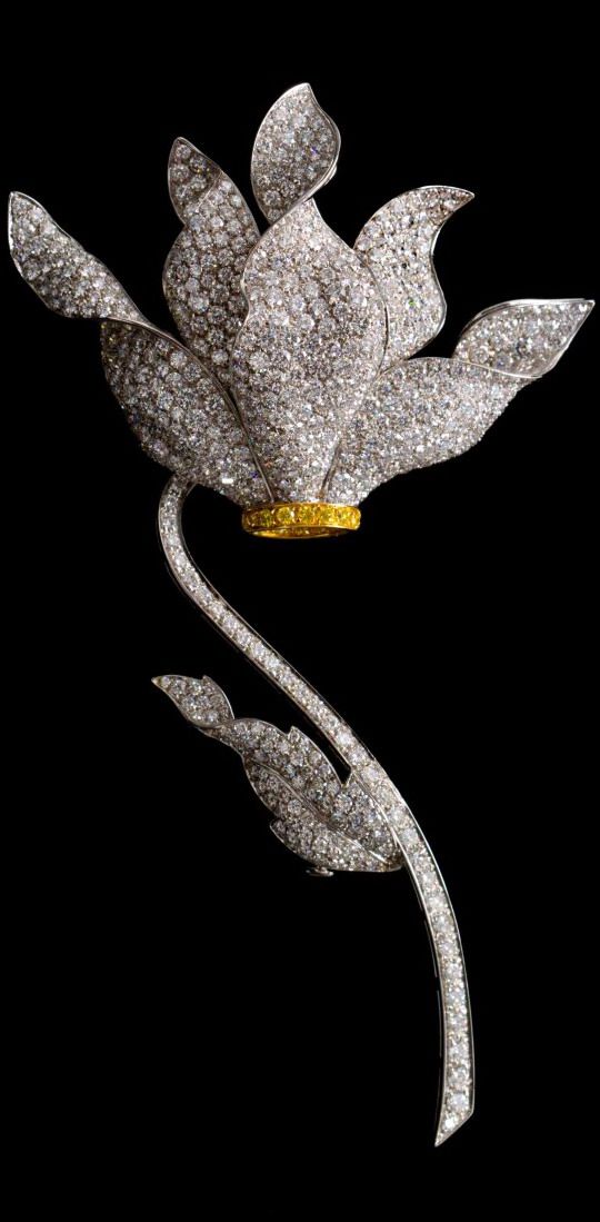 Ambrosi flower brooch. Diamonds and yellow diamonds set in white and yellow gold