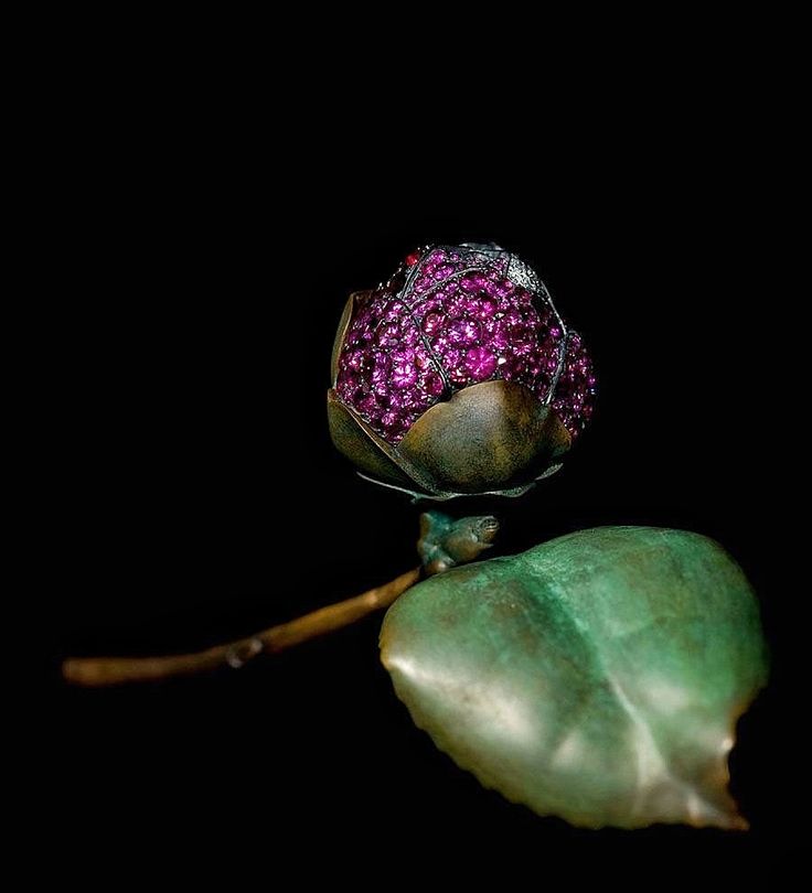 JAR Camelia Brooch 2010 with delicate pavé-set petals. via Jewels du Jour