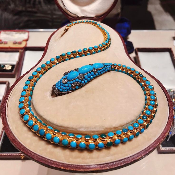Levi Higgs on Instagram: “One of the best Victorian turquoise snakes I've seen...