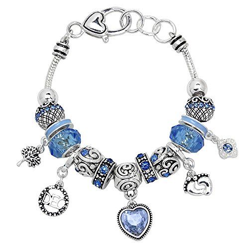 December Zodiac Charm Bracelet Sagittarius Murano Beads H... www.amazon.com/...