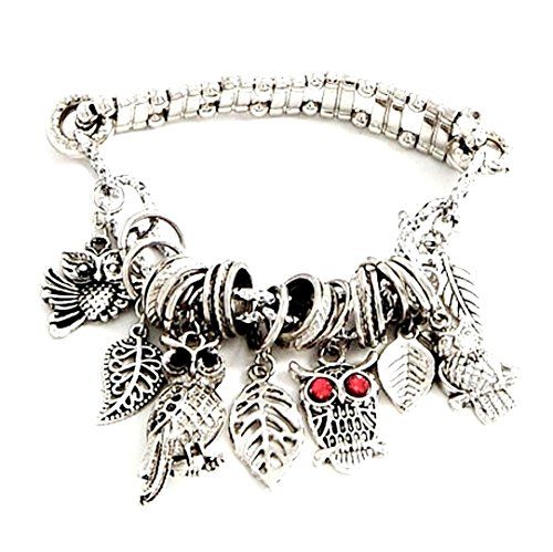 Owl Charm Bracelet BT Stretch Feathers Crystal Silver Ton... www.amazon.com/...
