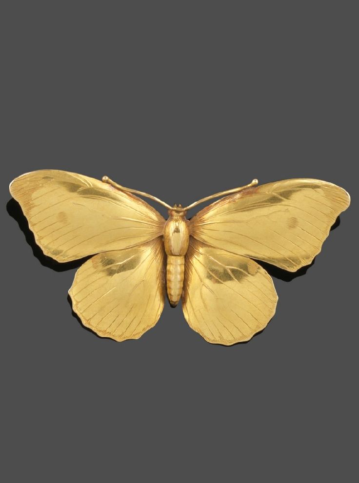 An Aesthetic movement gold butterfly brooch, realistically formed. 7cm wide. #Ae...