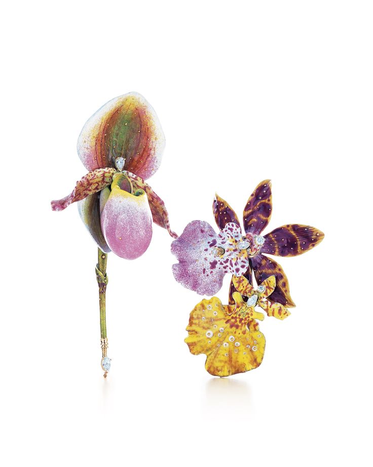 Les broches orchidées de Tiffany - Noblesse & Royautés