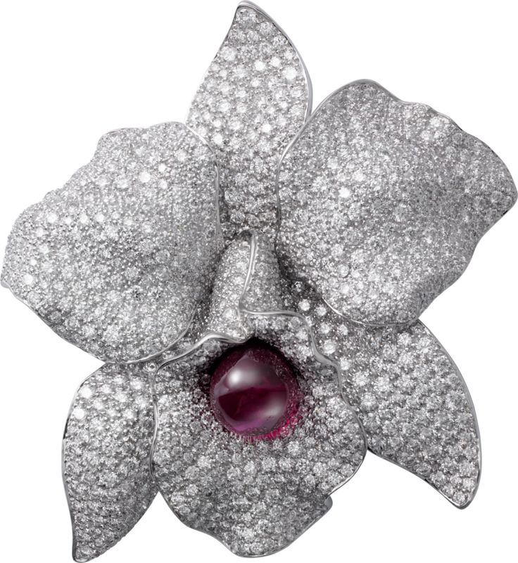 Caresse d'Orchidées par Cartier brooch, 950‰ platinum, 18K white gold, se...