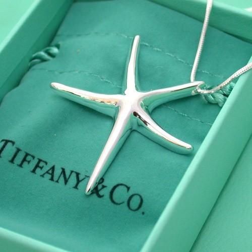 Elsa Peretti®:Starfish Pendant